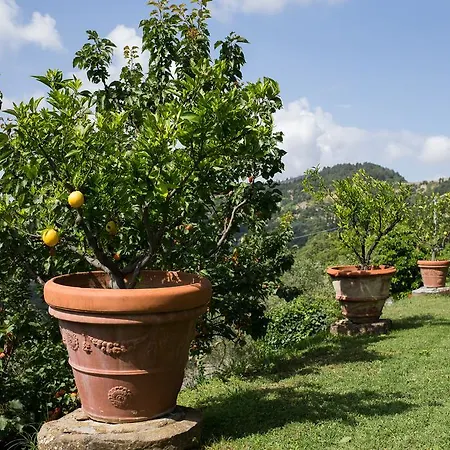 Alma Villa