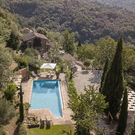 Alma Cortona